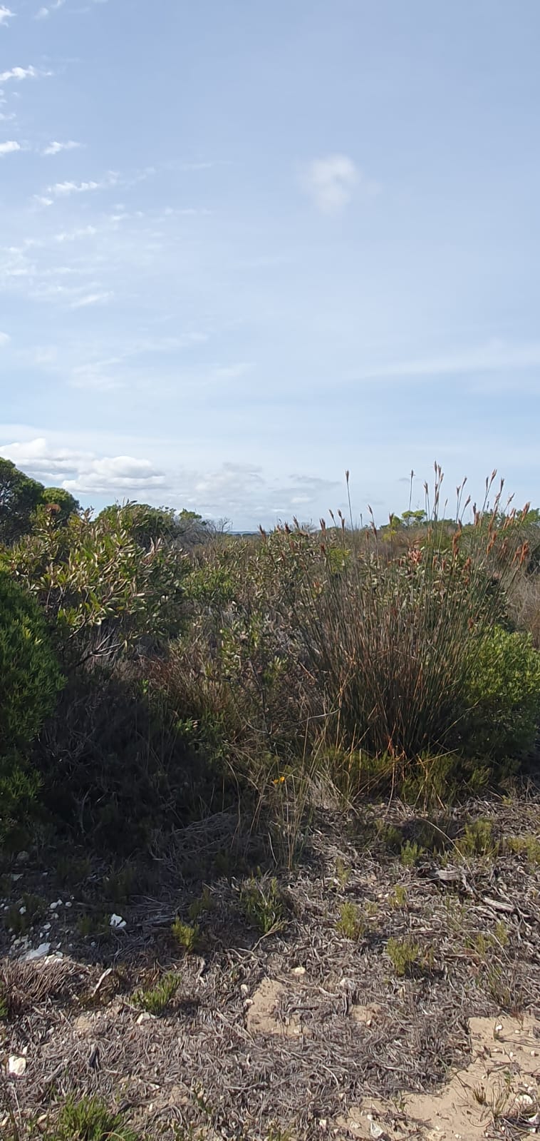  Bedroom Property for Sale in Riversdale Rural Western Cape